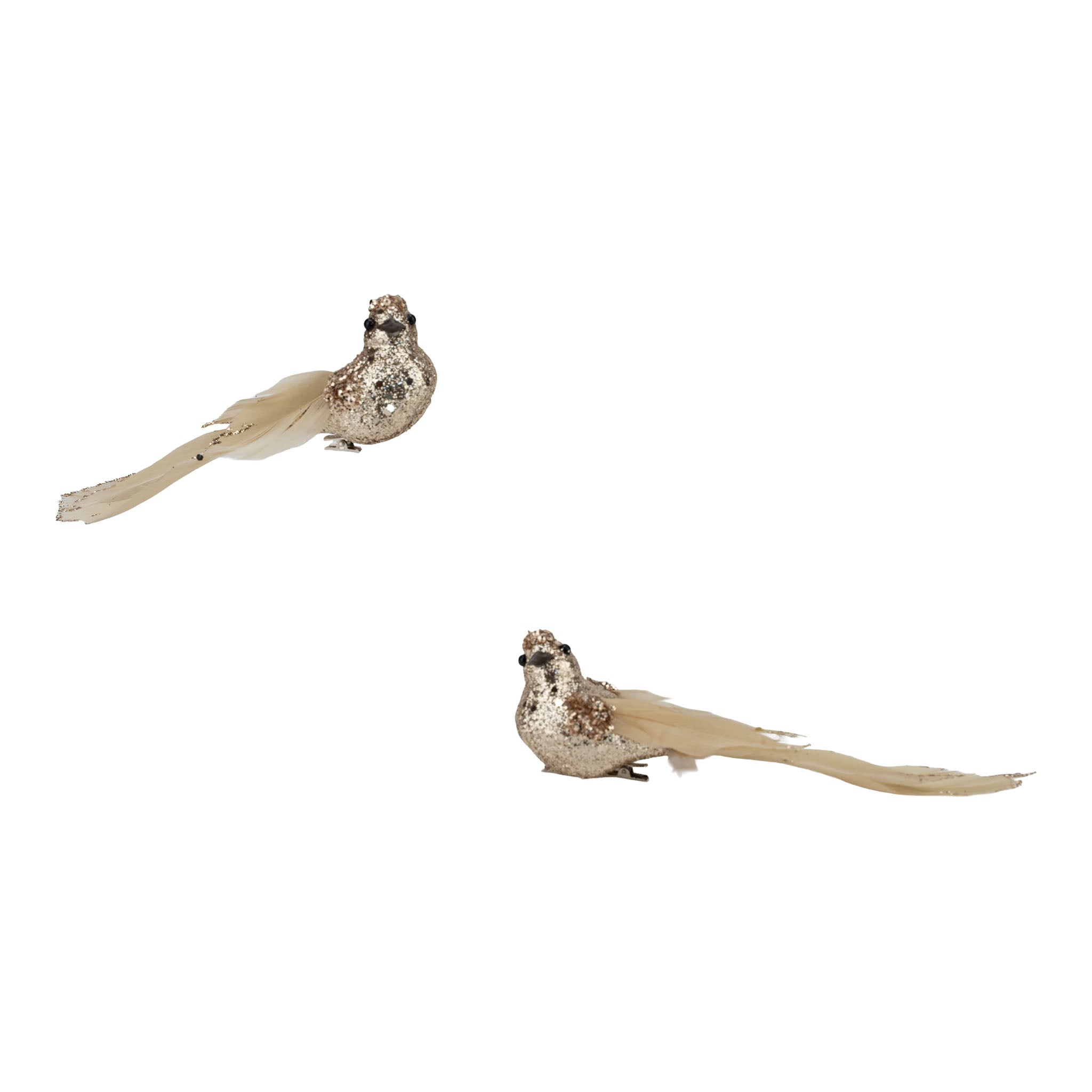 Set of 2 18cm Champagne Glitter Bird, Ivory Tail Clip on - Seasonal Decor