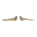 Set of 2 18cm Champagne Glitter Bird, Ivory Tail Clip on - Seasonal Decor