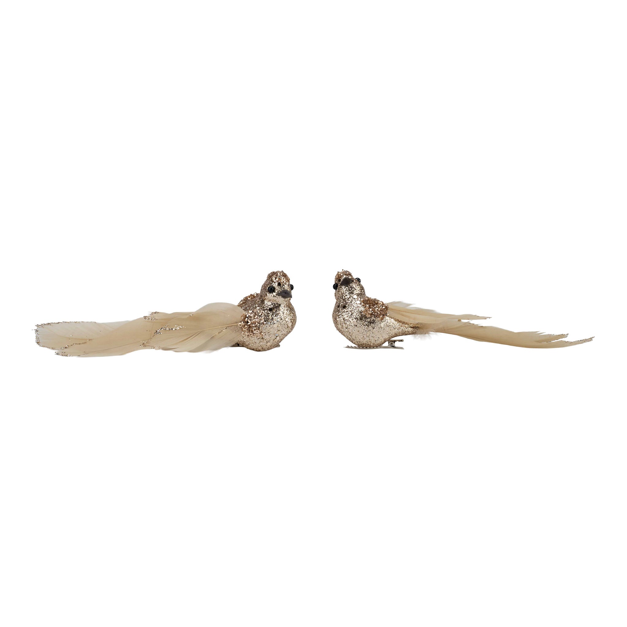 Set of 2 18cm Champagne Glitter Bird, Ivory Tail Clip on - Seasonal Decor