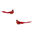 Set of 2 18cm Red Glitter Bird Clip on - Seasonal Decor