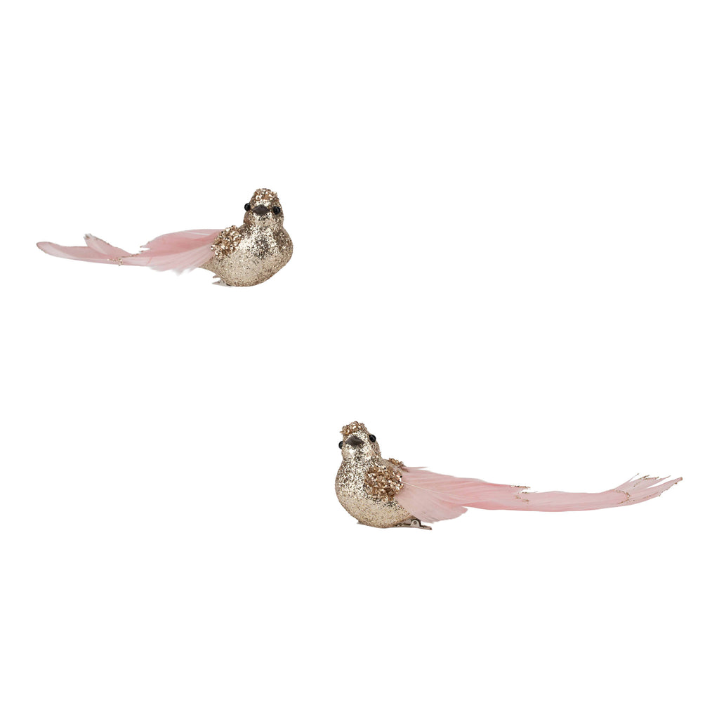 Set of 2 18cm Champagne Glitter Bird, Pink Tail Clip on - Seasonal Decor