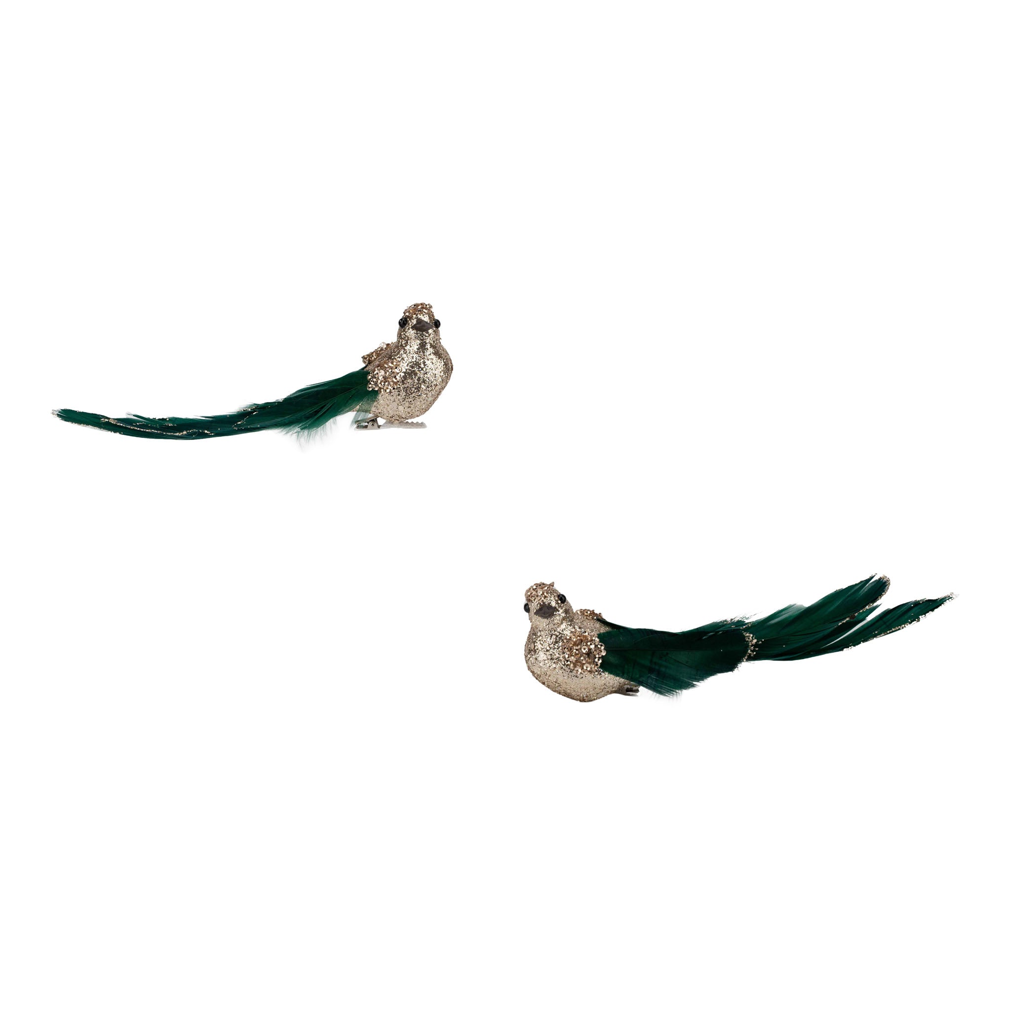 Set of 2 18cm Champagne Glitter Bird, Green Tail Clip on - Seasonal Decor