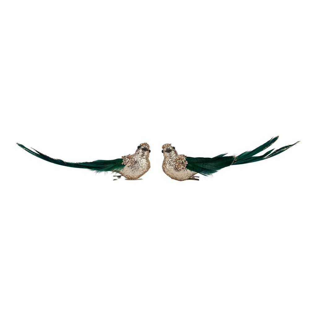 Set of 2 18cm Champagne Glitter Bird, Green Tail Clip on - Seasonal Decor