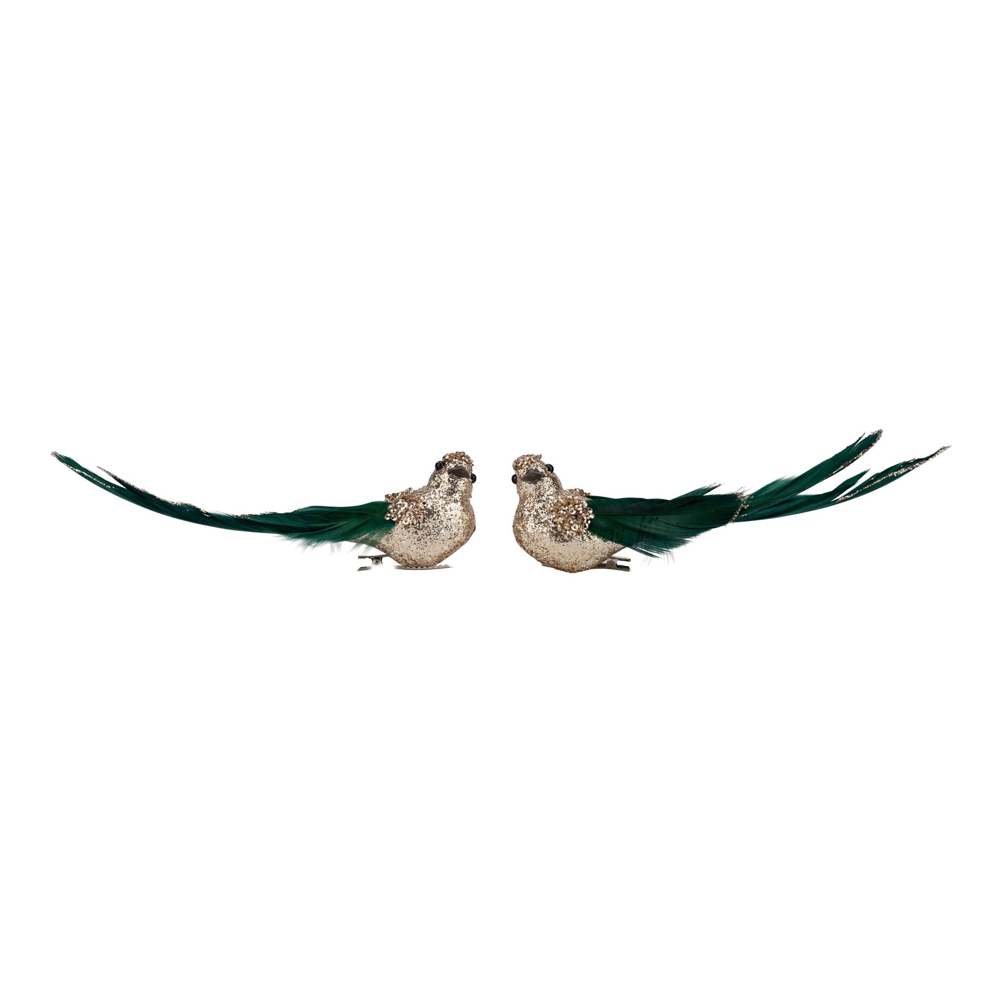Set of 2 18cm Champagne Glitter Bird, Green Tail Clip on - Seasonal Decor
