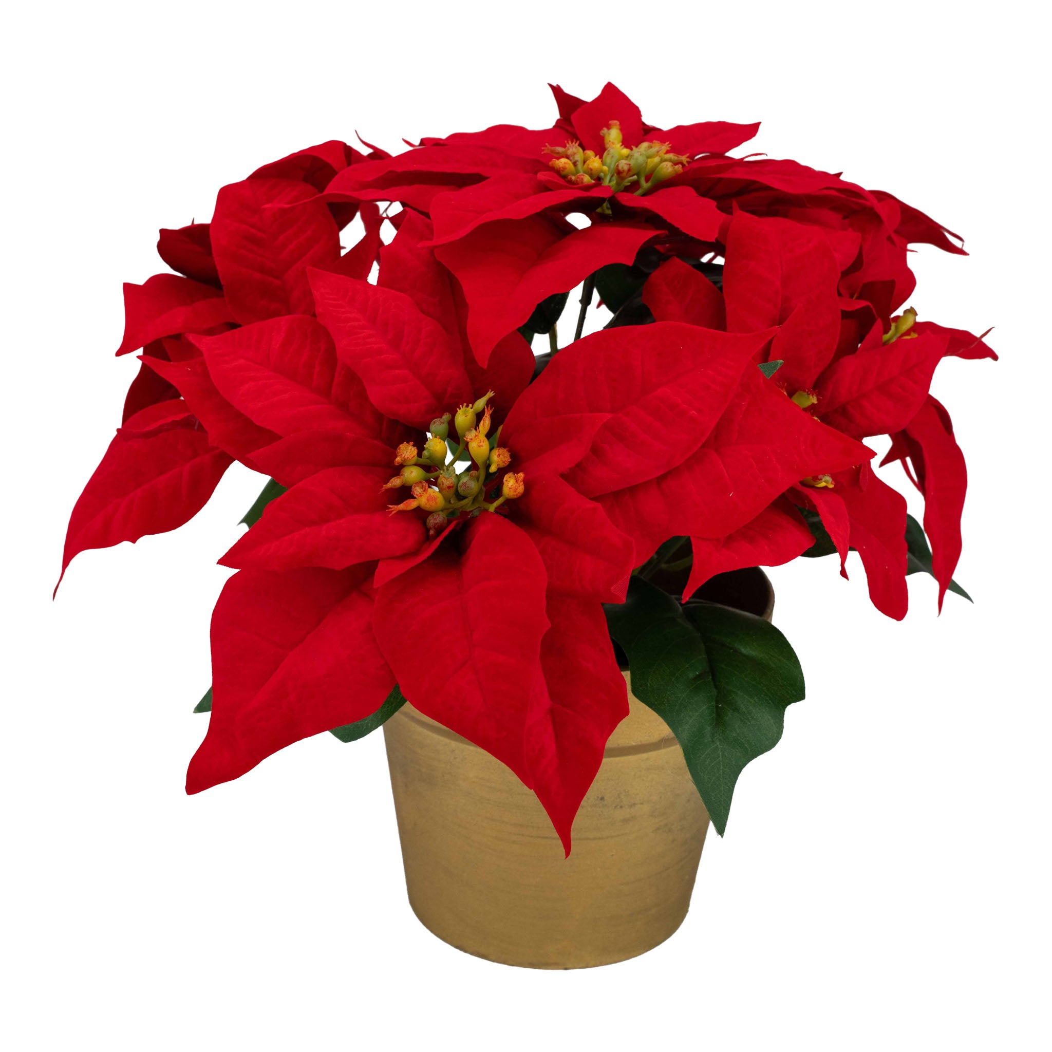 33cm Red Poinsettia Pot - Seasonal Decor