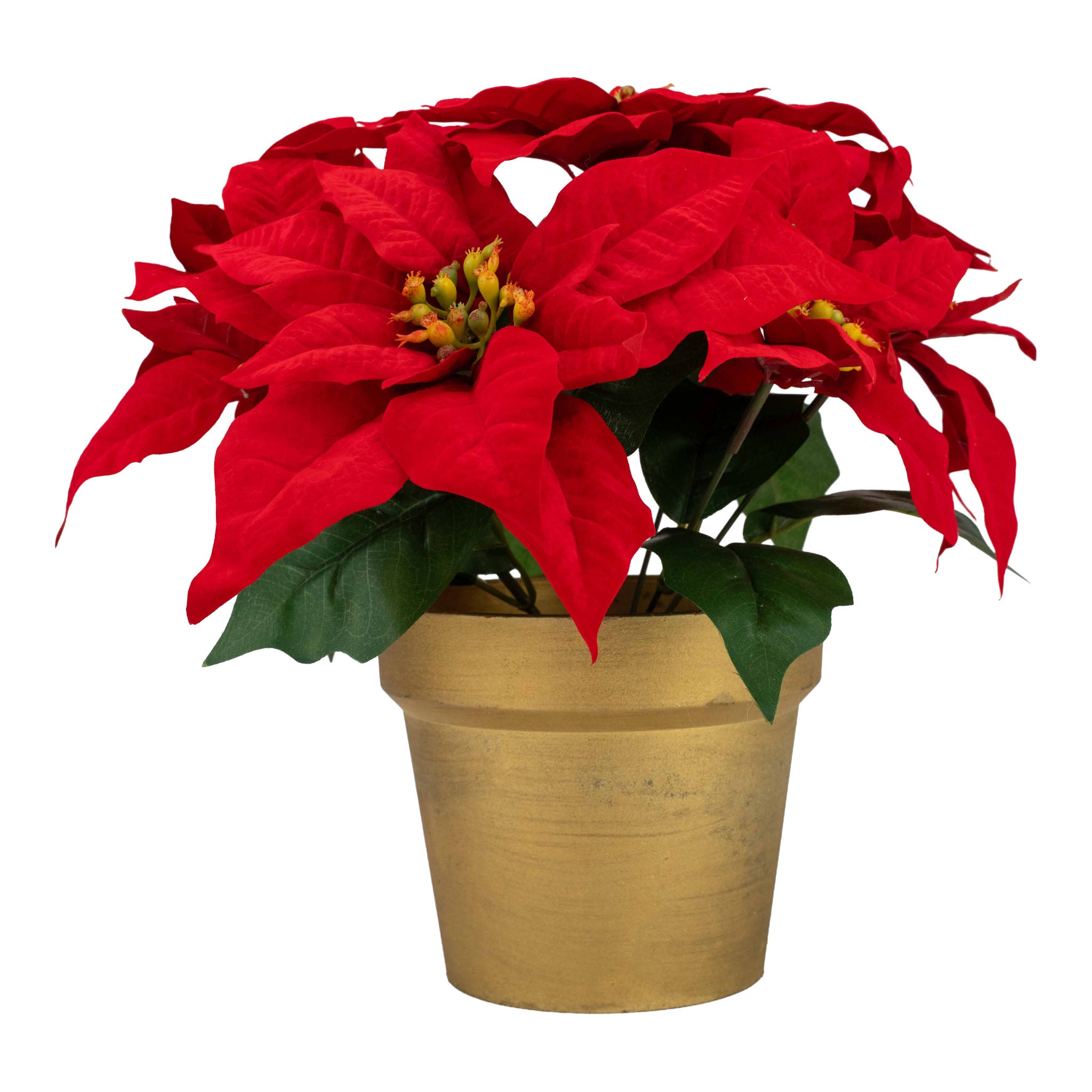 33cm Red Poinsettia Pot - Seasonal Decor