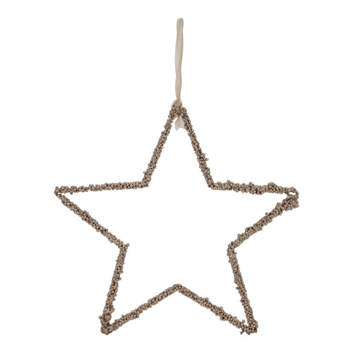 30cm Star Hanging - Seasonal Decor