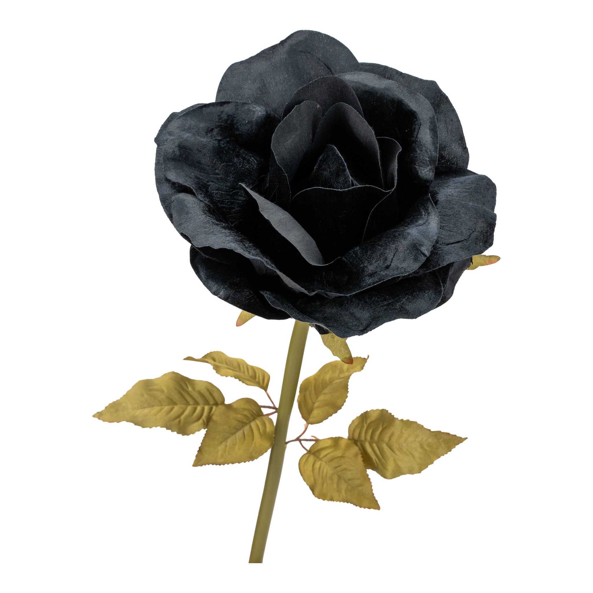 25cm Black Rose Large - Seasonal Decor