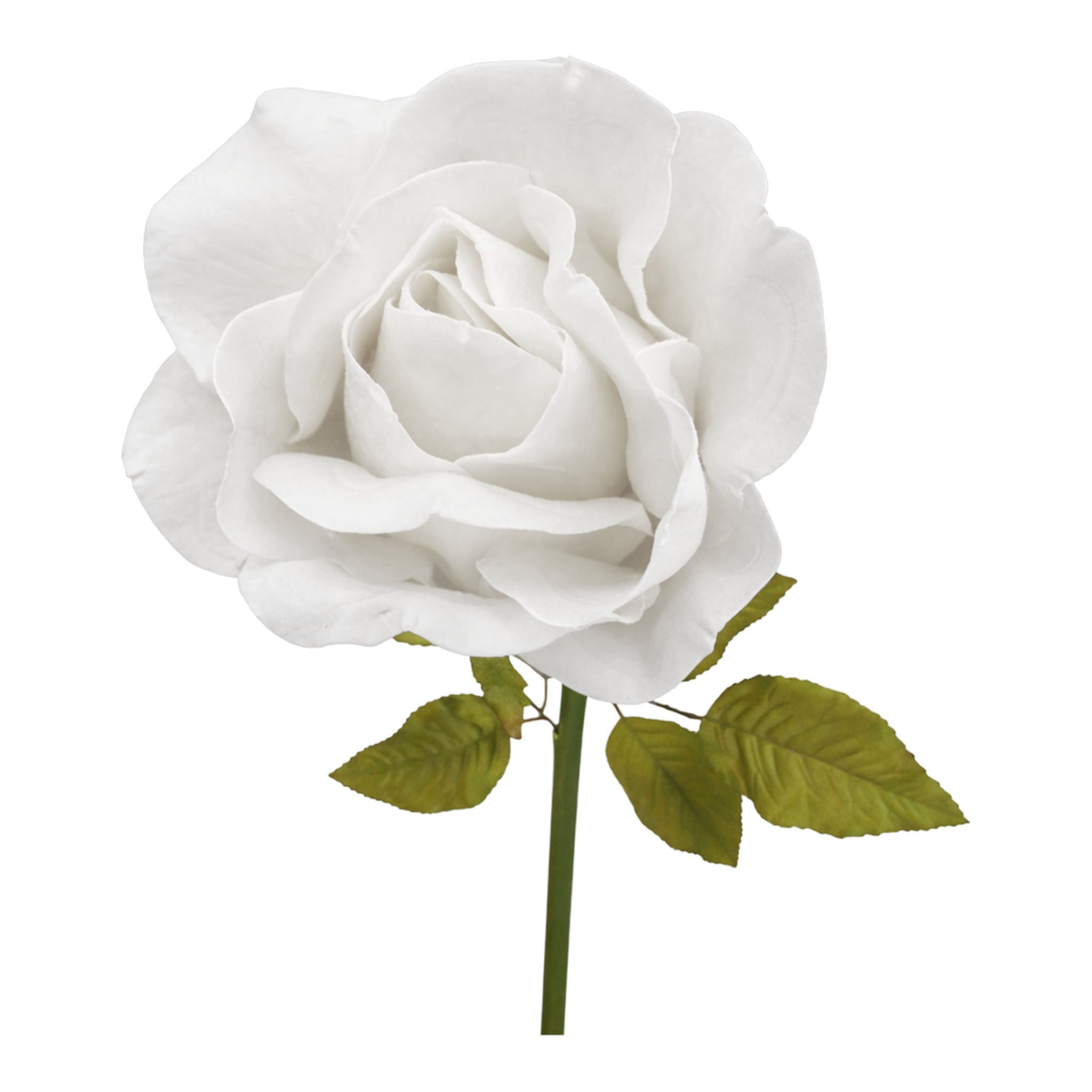 25cm White Rose Large - Seasonal Decor
