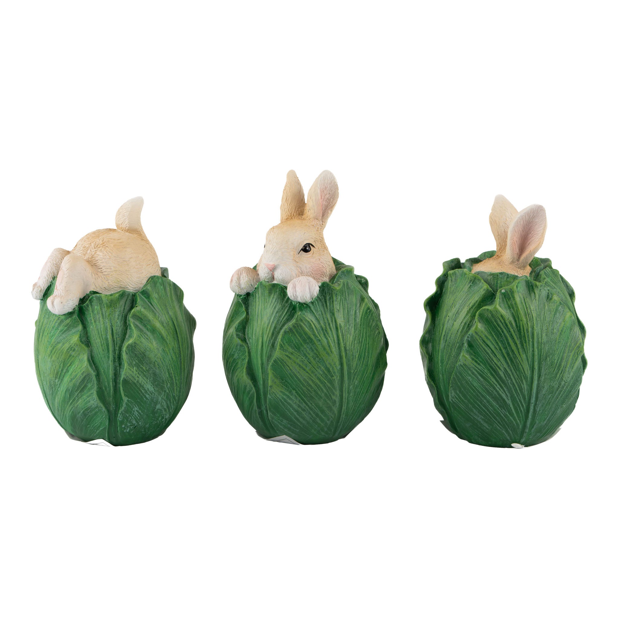 9.5cm Assorted Cheeky Bunnies in Cabbage - Seasonal Decor