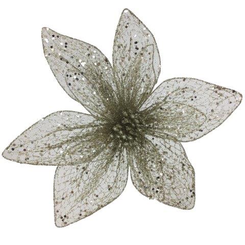 Champagne Netted Poinsettia