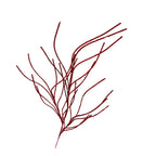 Red Glitter Spray - Seasonal Decor