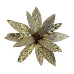 Champagne Poinsettia - Seasonal Decor