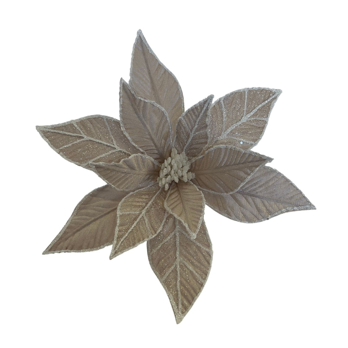 Champagne White Poinsettia