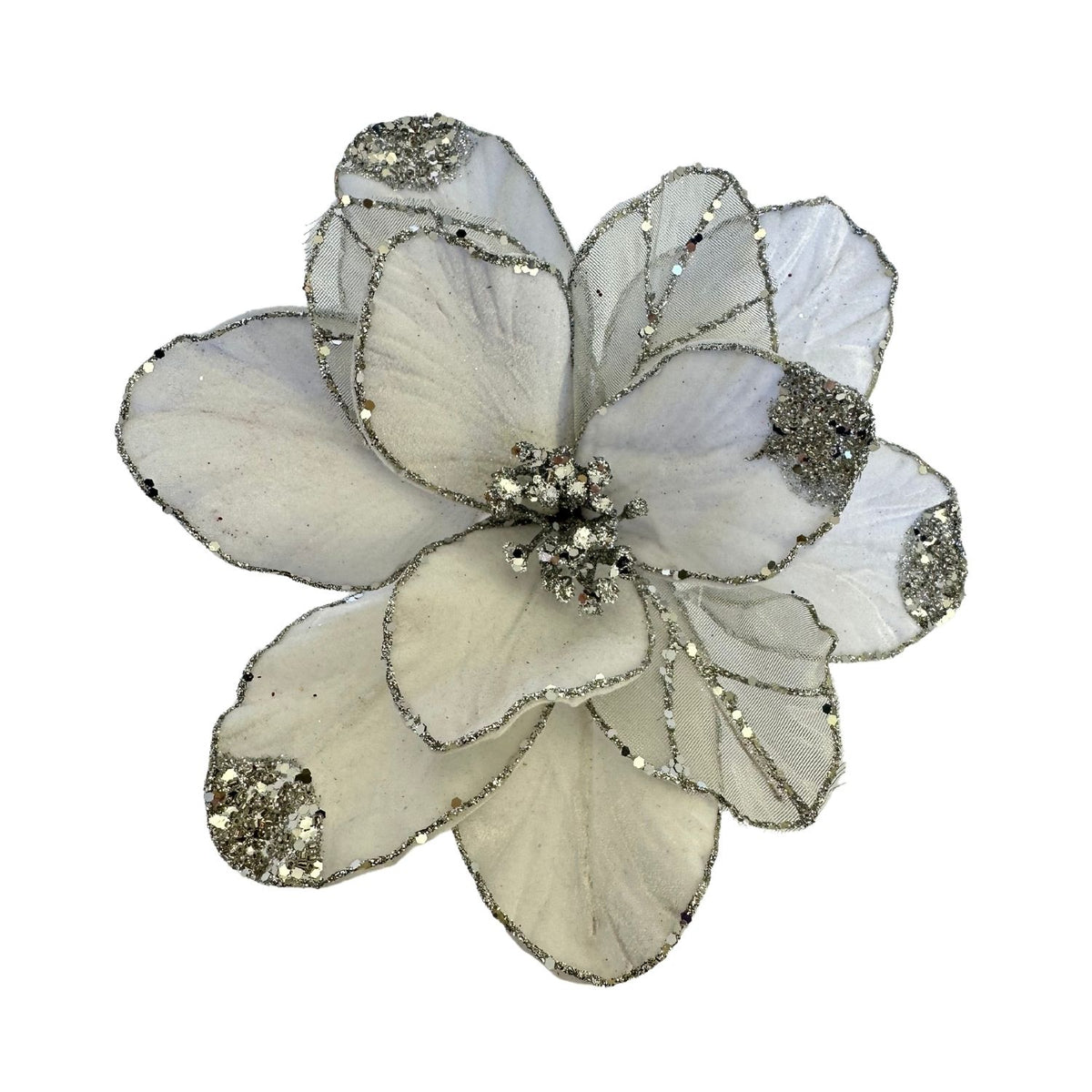 White Silver Poinsettia