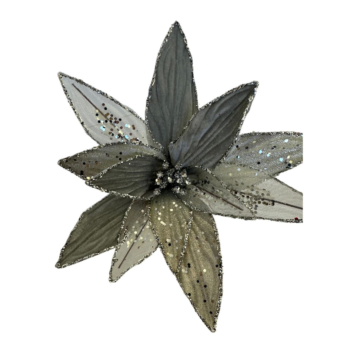 Silver Poinsettia