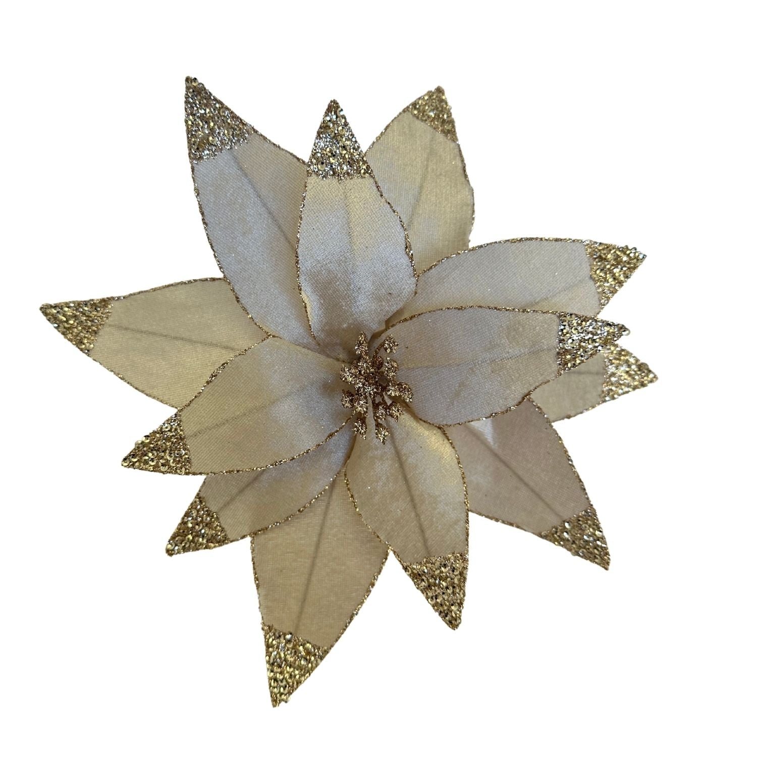 Champ Gold Poinsettia - Seasonal Decor