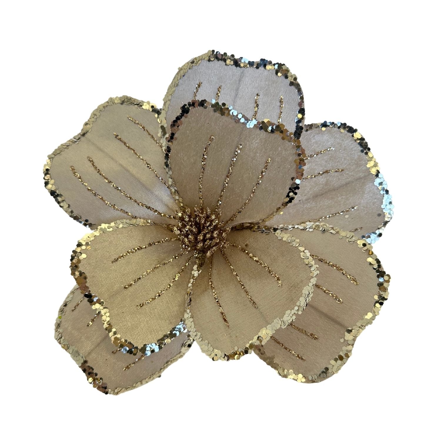 Champ Poinsettia - Seasonal Decor