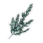 Emerald Green Leaf Spray - Seasonal Decor