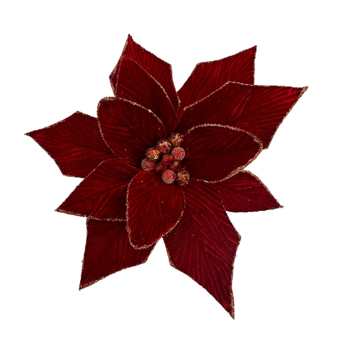Red Poinsettia