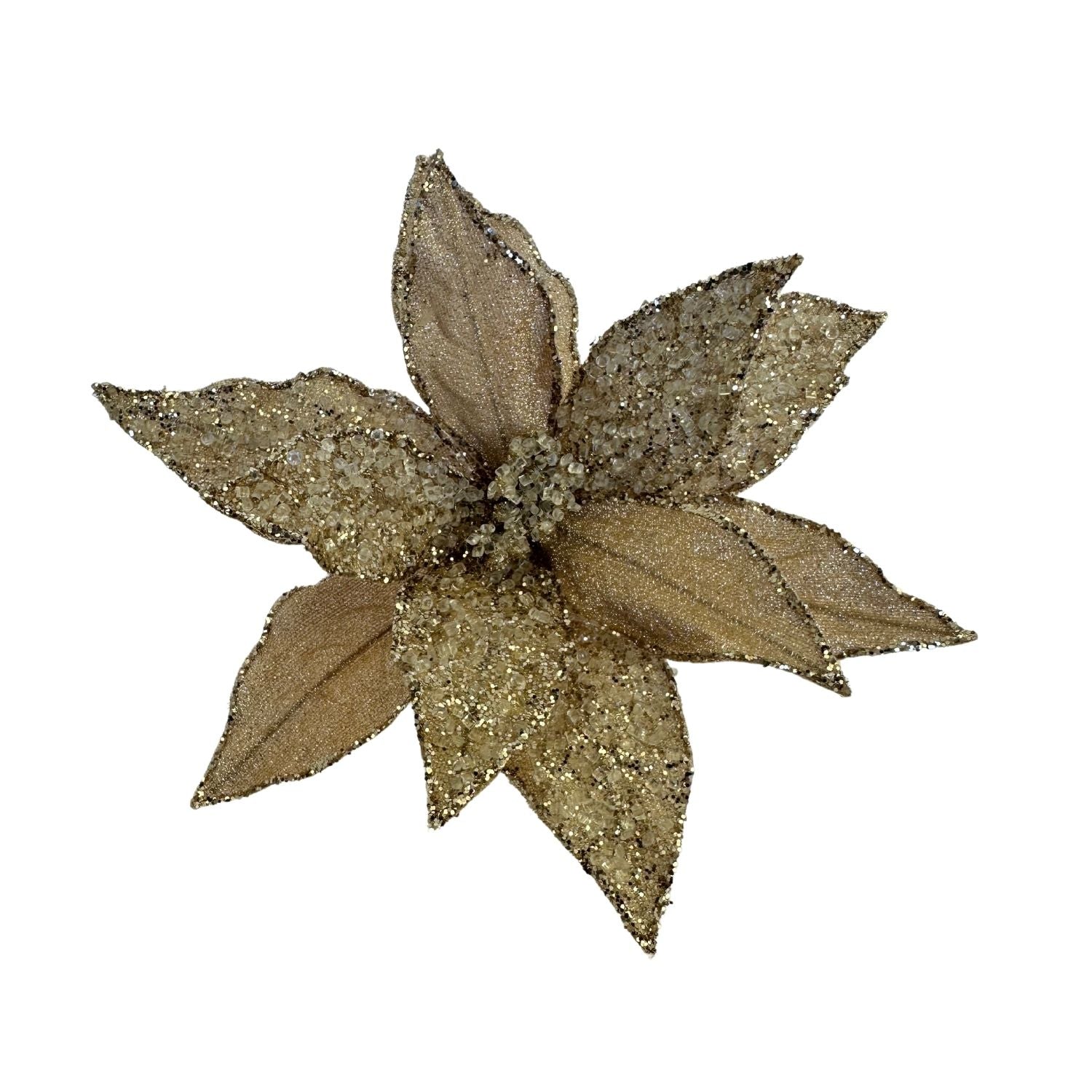 Champagne Poinsettia - Seasonal Decor
