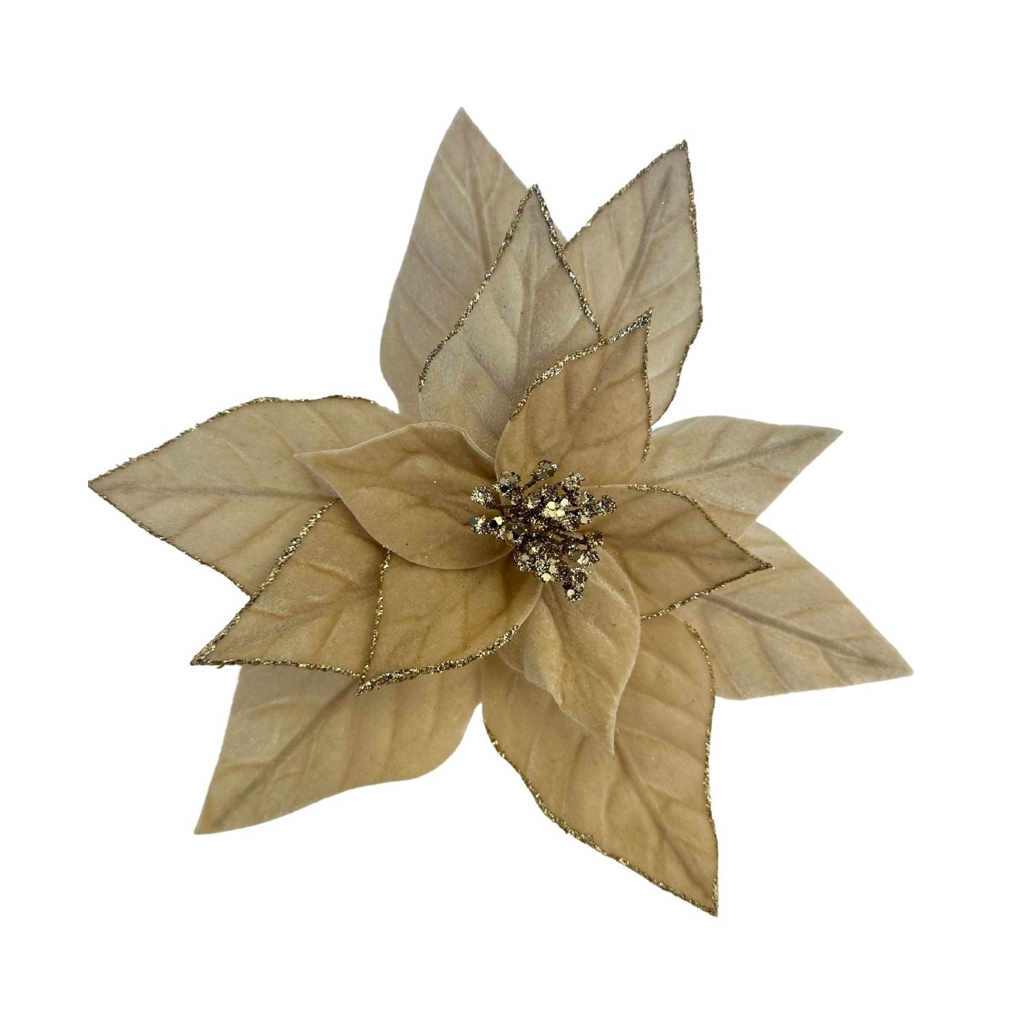 Champagne Poinsettia - Seasonal Decor