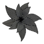 Black White Poinsettia - Seasonal Decor