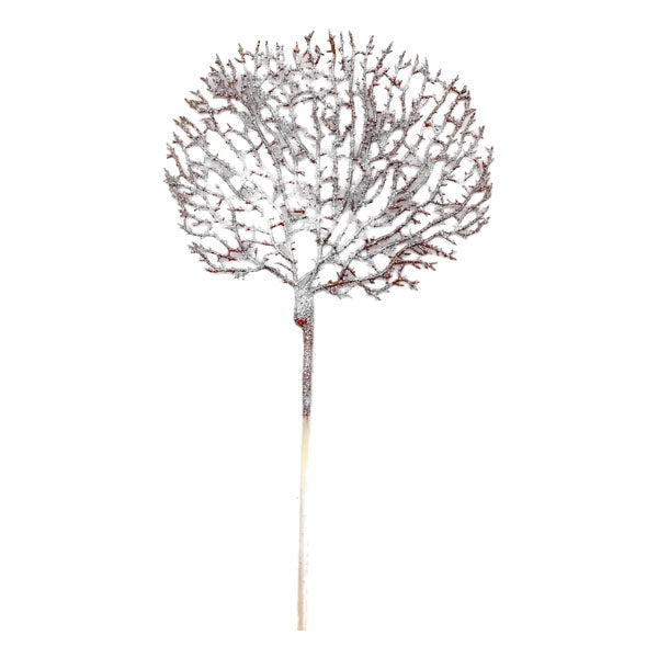 Champagne Coral Pick - Seasonal Decor