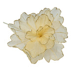Champagne Sheer Flower Gold Edge - Seasonal Decor