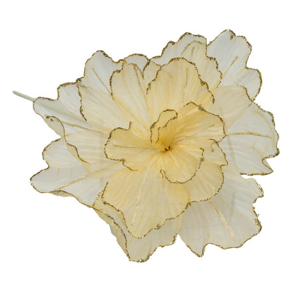 Champagne Sheer Flower Gold Edge - Seasonal Decor