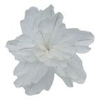 White Sheer Flower Gold Edge - Seasonal Decor