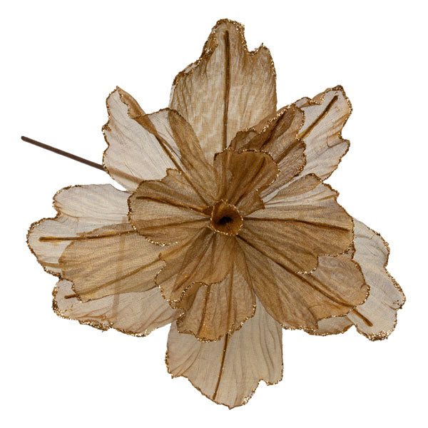 Taupe Sheer Flower Gold Edge - Seasonal Decor