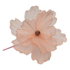 Rose Sheer Flower Gold Edge - Seasonal Decor